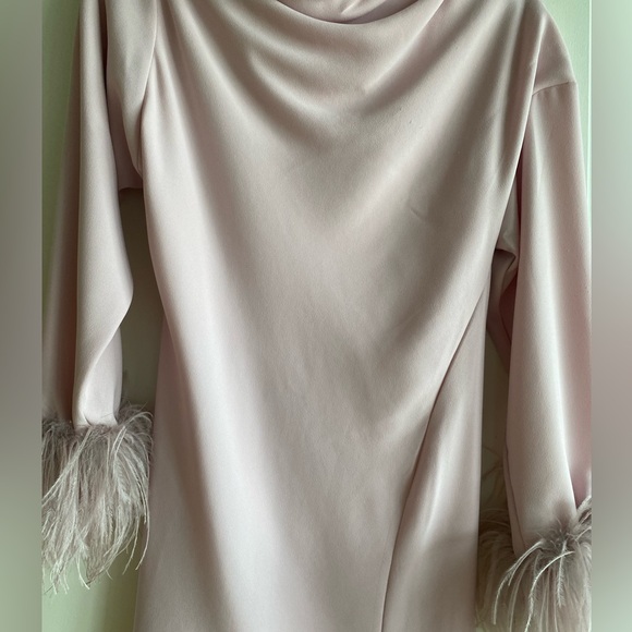 16ARLINGTON Feather-Trim Adelaide Mini Dress - Picture 9 of 10